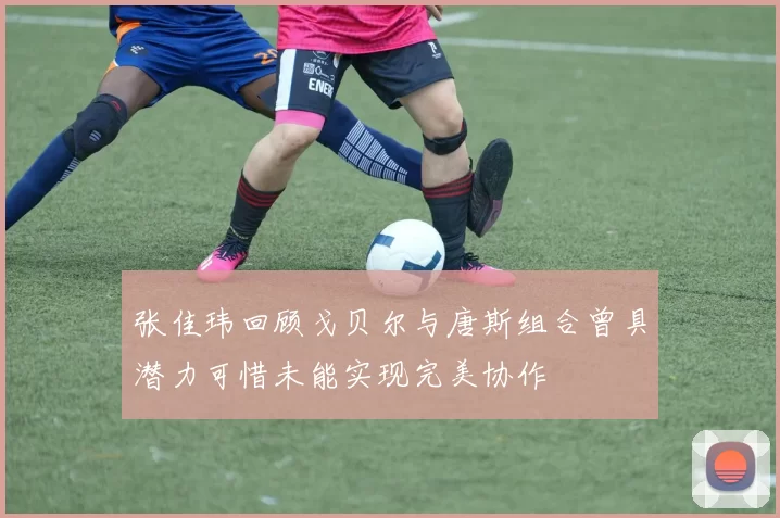 张佳玮回顾戈贝尔与唐斯组合曾具潜力可惜未能实现完美协作